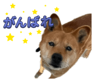 844662797