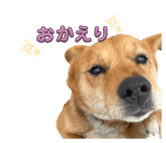 844662800