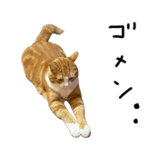 844662948