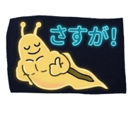 844663309