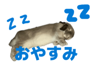 844663321