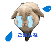 844663323