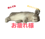 844663324