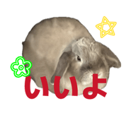 844663327