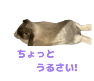 844663328