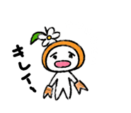 844663442
