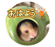 844663532