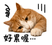 844663565