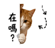 844663568
