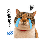 844664015