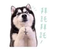 844664564