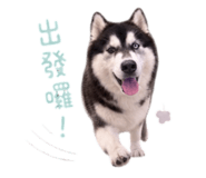 844664569