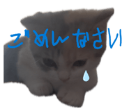 844664599