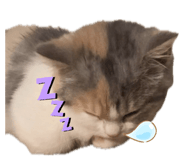 844664606