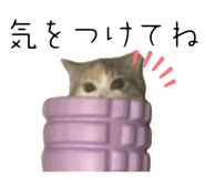 844664614