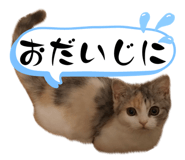 844664630