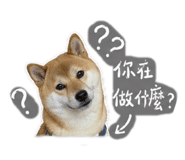 844665170