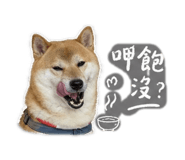 844665174