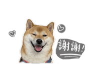 844665177
