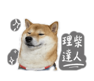 844665179