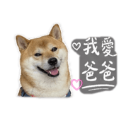 844665184