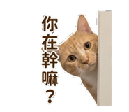 844665638
