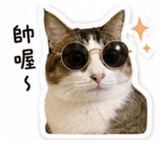 844666398