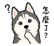 844666457