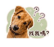 844666487