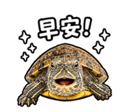 844666594