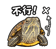 844666596