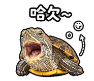 844666597