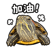 844666599