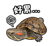 844666604