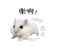 844668070