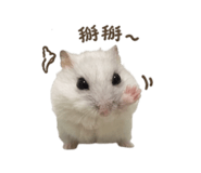 844668074