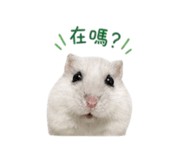 844668078