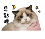844668407