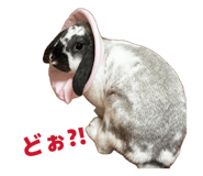 844669062