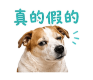 844669656