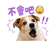 844669659