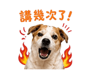 844669667