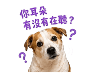 844669669