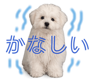 844669948