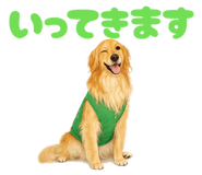 844670648