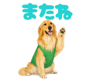 844670655