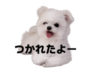 844670898