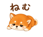 844672803
