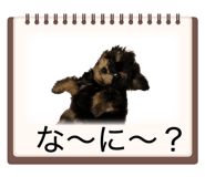 844673185