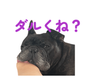 844673772